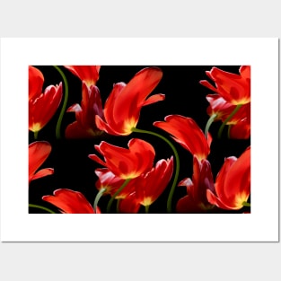 Tulips in the Wind / Swiss Artwork Photography Posters and Art